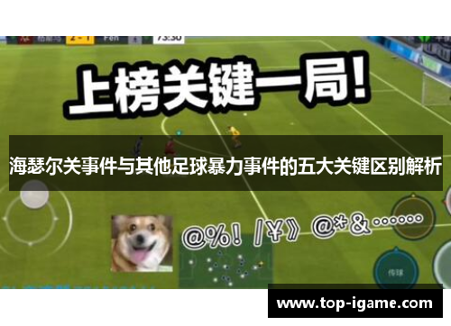 海瑟尔关事件与其他足球暴力事件的五大关键区别解析