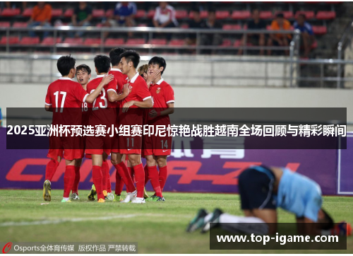 2025亚洲杯预选赛小组赛印尼惊艳战胜越南全场回顾与精彩瞬间