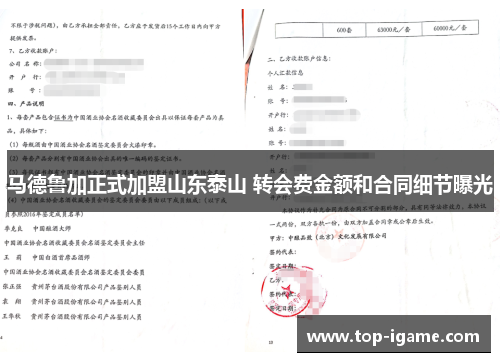 马德鲁加正式加盟山东泰山 转会费金额和合同细节曝光