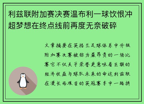 利兹联附加赛决赛温布利一球饮恨冲超梦想在终点线前再度无奈破碎
